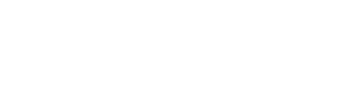 BRAVE Plugin Logo